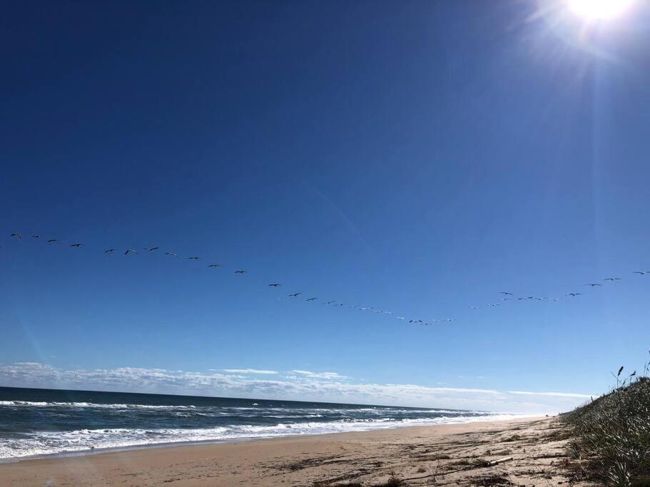 Zen Beach Retreat - Ocean View Townhouse -No Drive Beach New Smyrna Beach Exteriör bild